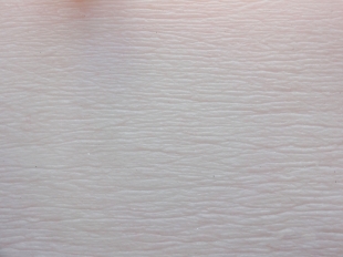 medium_94_141.jpg